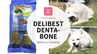DeliBest DentaBone  | Dyrekassen.no