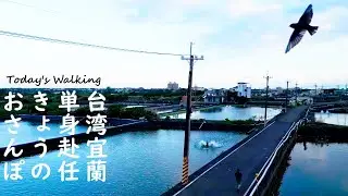 Today's walking 台湾宜蘭単身赴任きょうのおさんぽ:  2023 1129 drone sampo