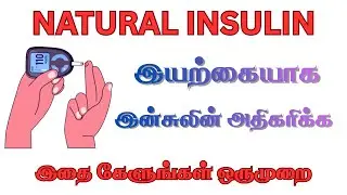 இன்சுலின் இயற்கையாக அதிகரிக்க வழிகள் | Increase Insulin Naturally in Tamil | Diabetes Control tamil