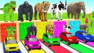 Slide Zoo 🦁🐘 | Amazing Zoo Animals Slideshow for Kids