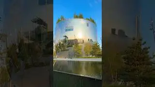 Walking Museumpark Netherlands &bull; 4K ASMR
