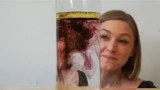 Hands-on at Home | Fireworks in a Jar