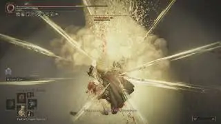 Needle Knight Leda and her allies
