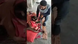 #Zindagi Se Jung #shorts #video #couplelove #couplecare
