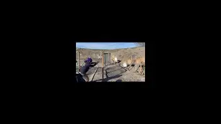 Malfunctions clearing, USPSA run @ Richmond Rod & Gun