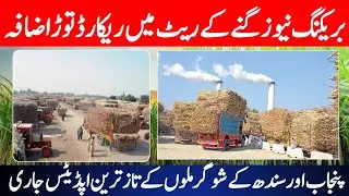 Big Surprise in Sugarcane Rate | Today Sugarcane Price in Pakistan | Sugarcane price updates