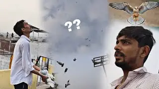 🦅? Achanak Ye Kya Hogya 😰