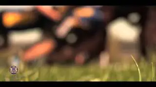 Beechen Cliff School - Rugby
