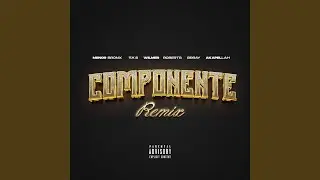 Componente (Remix)
