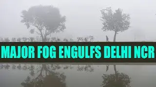 Fog Affects Air, Rail and Road Traffic In Delhi NCR | OneIndia News