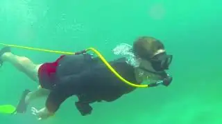000000 - Presidential Trip 2016_ Nevis.mp4