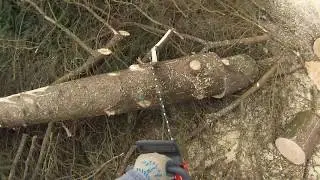Pt.2 Husqvarna Rancher 460 first run Dem trees must go