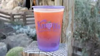 Chowtime at Knott's Berry Farm- Mango Berry Smoothie