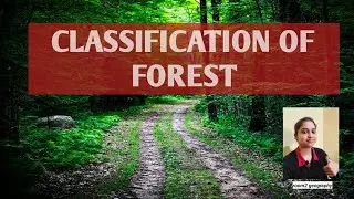 Classification of Forest in detail:Forestry:Environmental geography:room2 geography