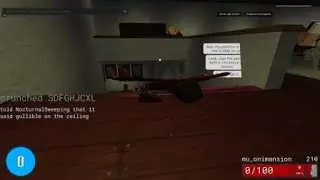 Funny slop asylum