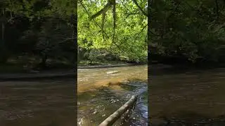 Hiking trip to The Hérou - Natural Park of the two OurthesLe, Houffalize, Belgium