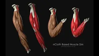 Rabin Shilpakar - Rigging & Tools Reel 2021