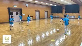 Astera #17