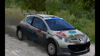 Karkaus | Peugeot 207 S2000 Evolution Plus