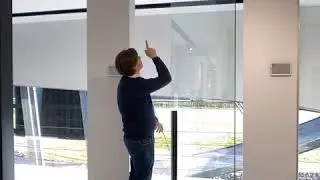 Glass pivot door system