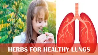 6 Best Herbs for Lung Health, Clear Breathing, Kill Viruses, Break Up Mucus, and Relieve Coughing