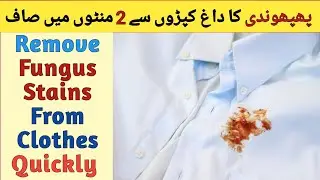 How To Remove Fungus From Clothes At Home By Lumish Kitchen| Kapde Se Phaphondi Utarne Ka Tarika