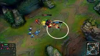 gALiO cOuNtErS KaT