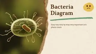 &ldquo;Bacteria Structure Made Simple! | Cell Wall, Flagella, Pili, Capsule | Full Labeled Diagram&rdquo; ll