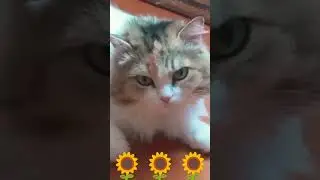 27 июня 2023 г.