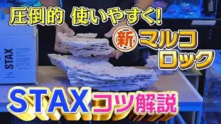 新マルコロック “STAX”　組み合わせのコツ解説【2024年11月号 vol.2】