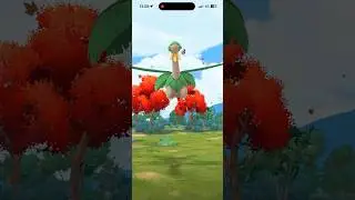 Pokemon GO - Wild Tropius (iPhone 15 Pro Max) Pok&eacute;mon GO #mmtopokemongo