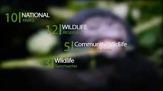 WORLD WILDLIFE CELEBRATIONS 2025