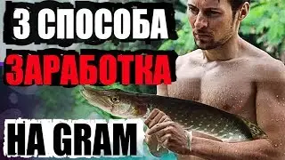 3 способа заработать на Telegram Open Network (GRAM) Павла Дурова криптовалюта заработок