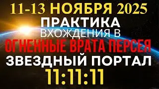 11-13.11.2025 Практика принятия энергий портала Звездных Врат. Квантовый скачок для улучшения жизни