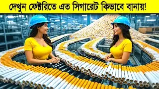 দেখুন কিভাবে ফ্যাক্টরিতে সিগারেট তৈরি করা হয়? | Cigarette Manufacturing Process