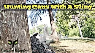 Sling Hunting Practice | Slinging At Small Game Size Targets