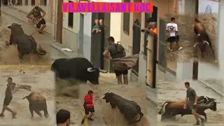 Vila Vella, Sant Roc, 19•08•25, toros de La Quinta y Luis Algarra 