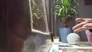 Gemeni ianuarie!!!! Sunteți bârfiți pentru că va îmbogățiti !!!!! 