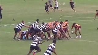 Joseph Hasler Rugby CV