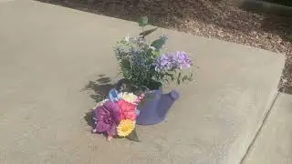 Blue Violet Morning - Daisy Waters -- Fixed Audio Composition