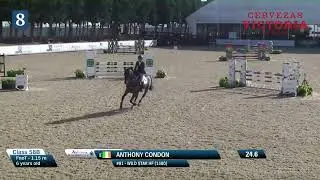 Anthony Condon and Wild Star HF Class 58B 6YO Sunshine Tour 2022