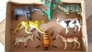 Review Animal Toys | Elephant Cow Iguana Rhinoceros Cheetah Zebra Horse Bee