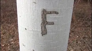 Forrest Fenn Treasure Found - The Chest and the Blaze