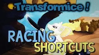 TRANSFORMICE - Racing Shortcuts