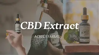 CBD Extract (Tincture) - Product Info