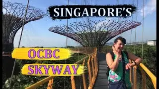 Singapore OCBC Skyway Gardens By The Bay Walking Tour - Avatar Movie Themed Bridge