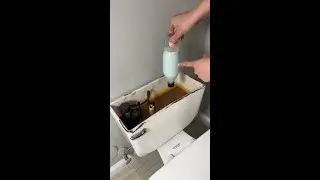 How to Keep Your Bathroom Fresh and Clean with This DIY Trick!