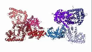 Aldolase B