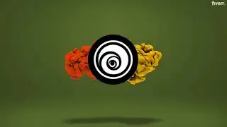 Create 15 different logo intro animations - Best Logo Animation service