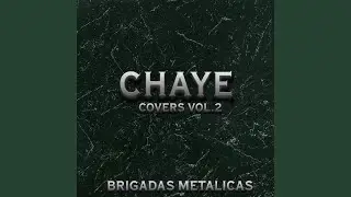 Brigadas metalicas